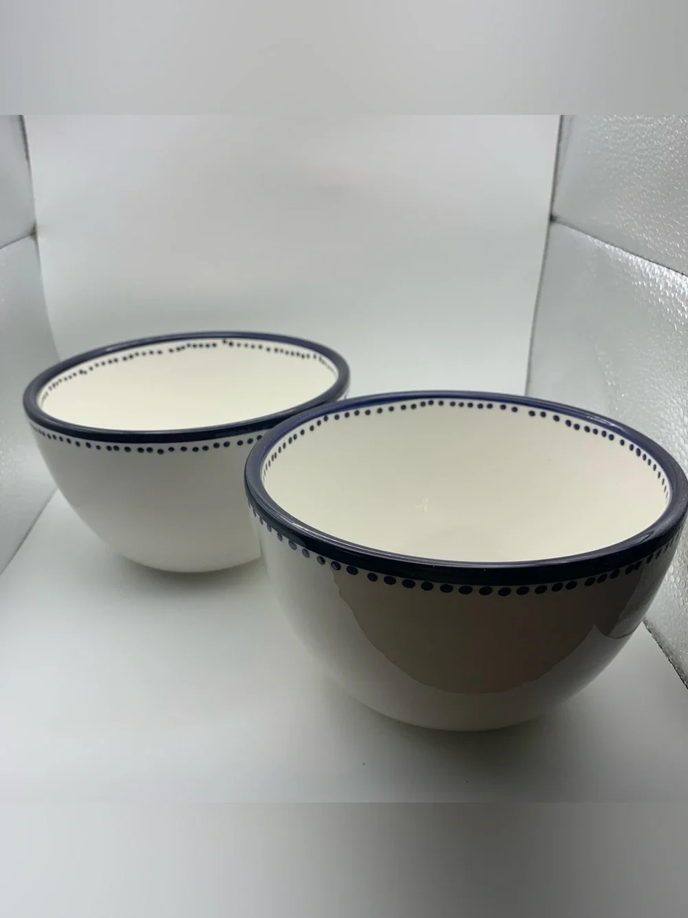 Pottery Barn Tiburon Blue Dots Leaves set of 2 Coupe Soup Cereal Bowls